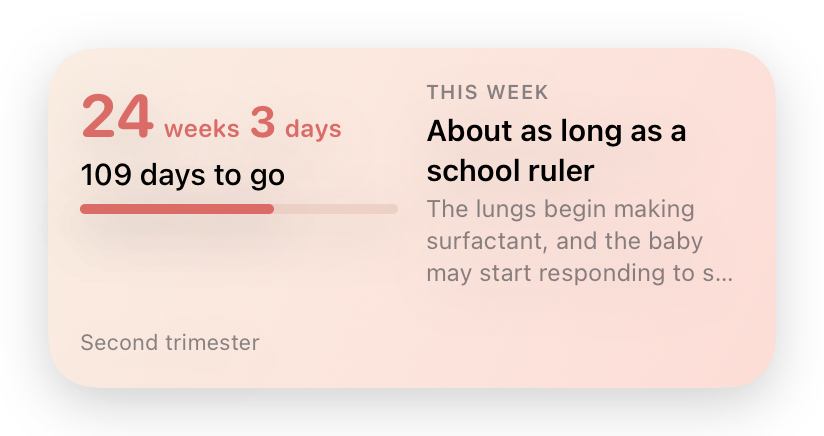 Medium widget: 24 weeks 3 days, 109 days to go, about as long as a school ruler